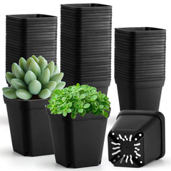 RooTrimmer front view of 100-pack square pots showing neat bulk packaging and value
