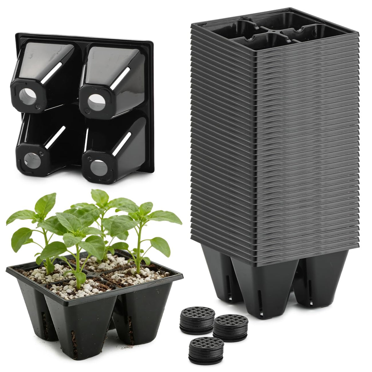 RooTrimmer front pack showing 40 reusable 4-cell trays and durable construction