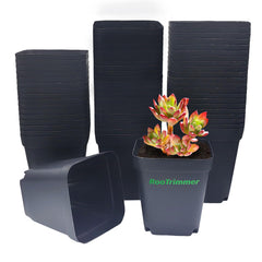 RooTrimmer front view of 60-pack showing neat stack and savings benefit