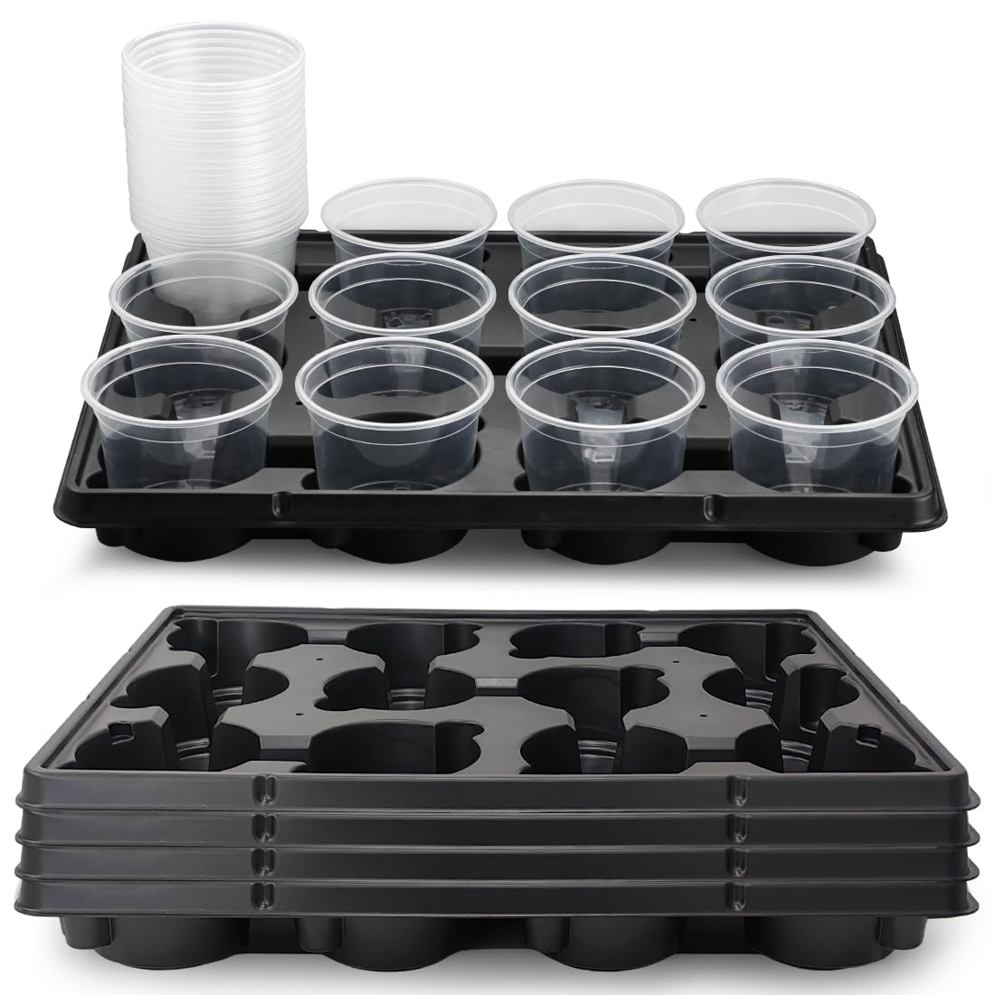 RooTrimmer front view showing tray set and 60 clear pots for organized propagation