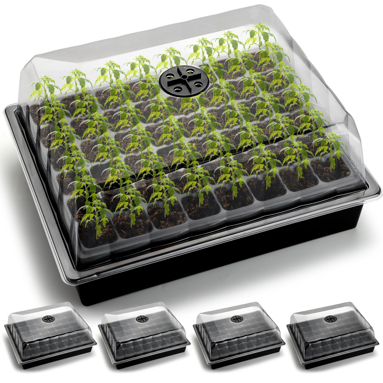 RooTrimmer front pack showing tray and dome for organized seed starting