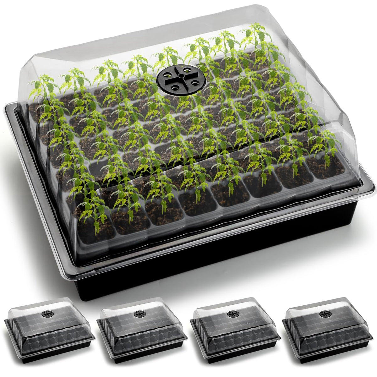 RooTrimmer front pack showing tray and dome for organized seed starting