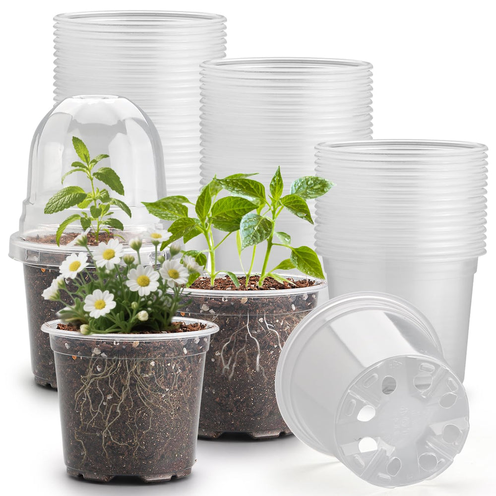 RooTrimmer front packaging showing 60 clear pots and lids for easy seed starting