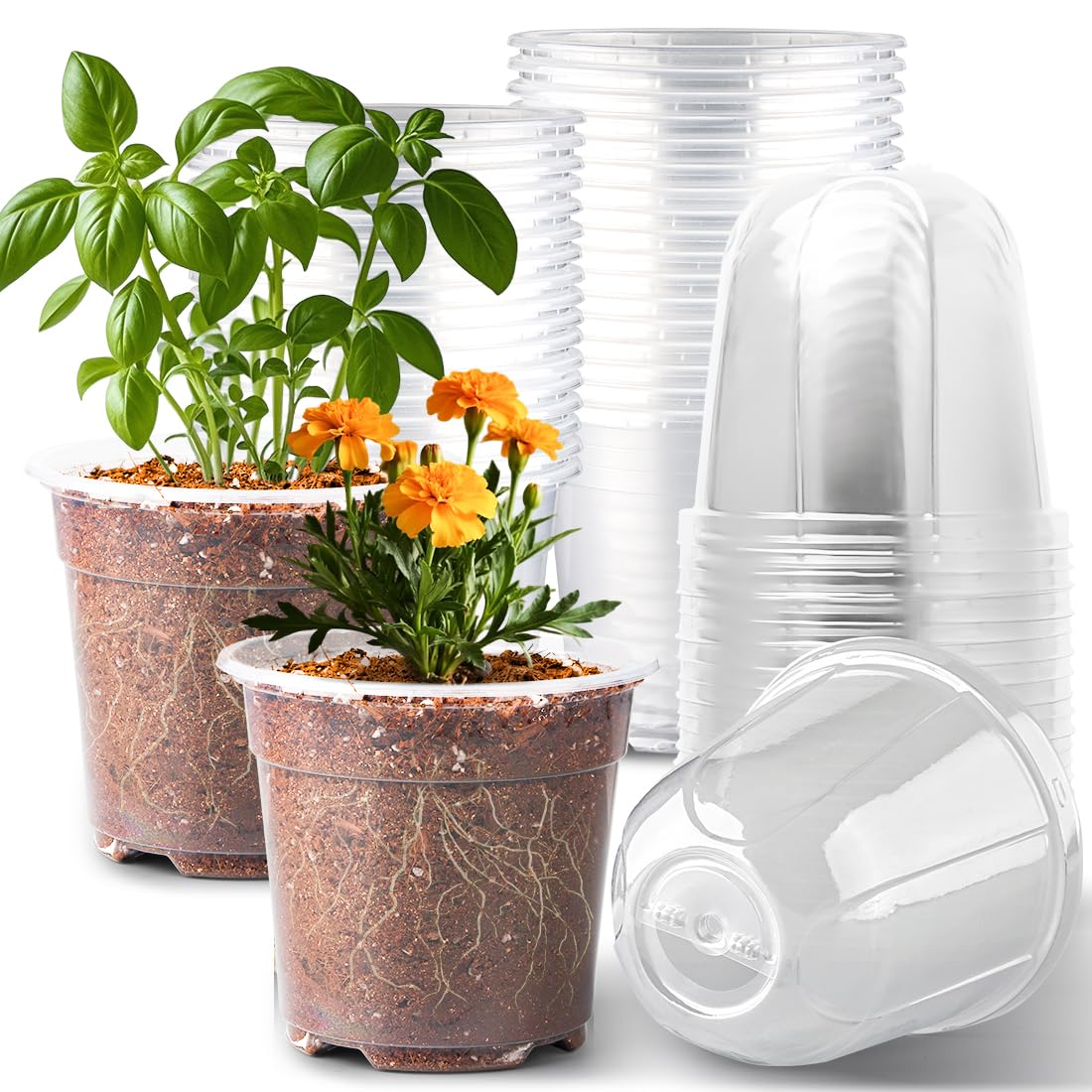 RooTrimmer front view of 30-pack clear pots showing organized kit and benefits