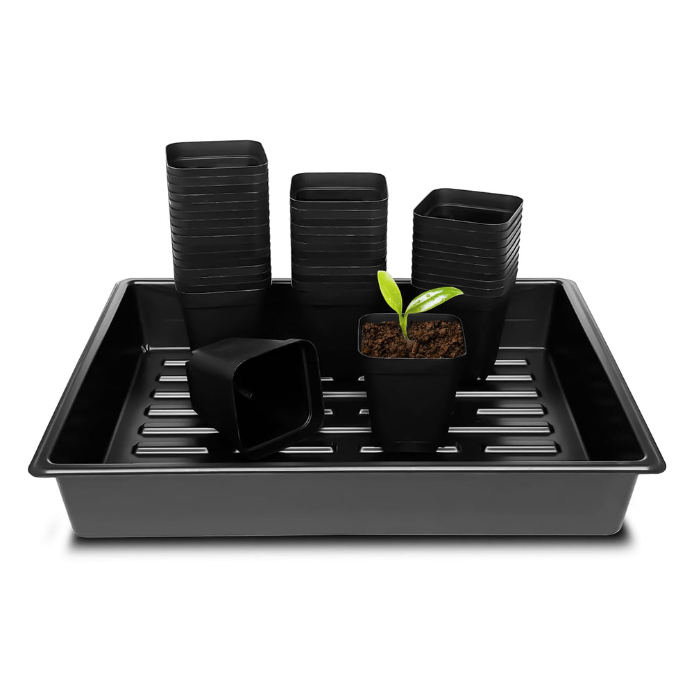 RooTrimmer front view of pots and trays showing organized starter kit benefit