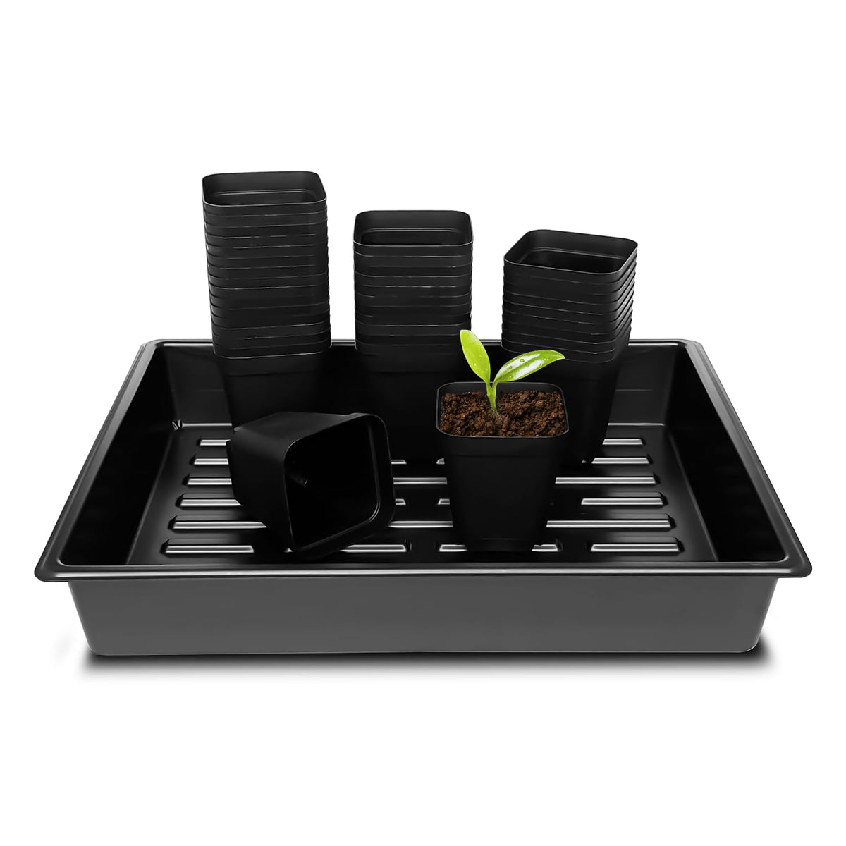 RooTrimmer front view of pots and trays showing organized starter kit benefit