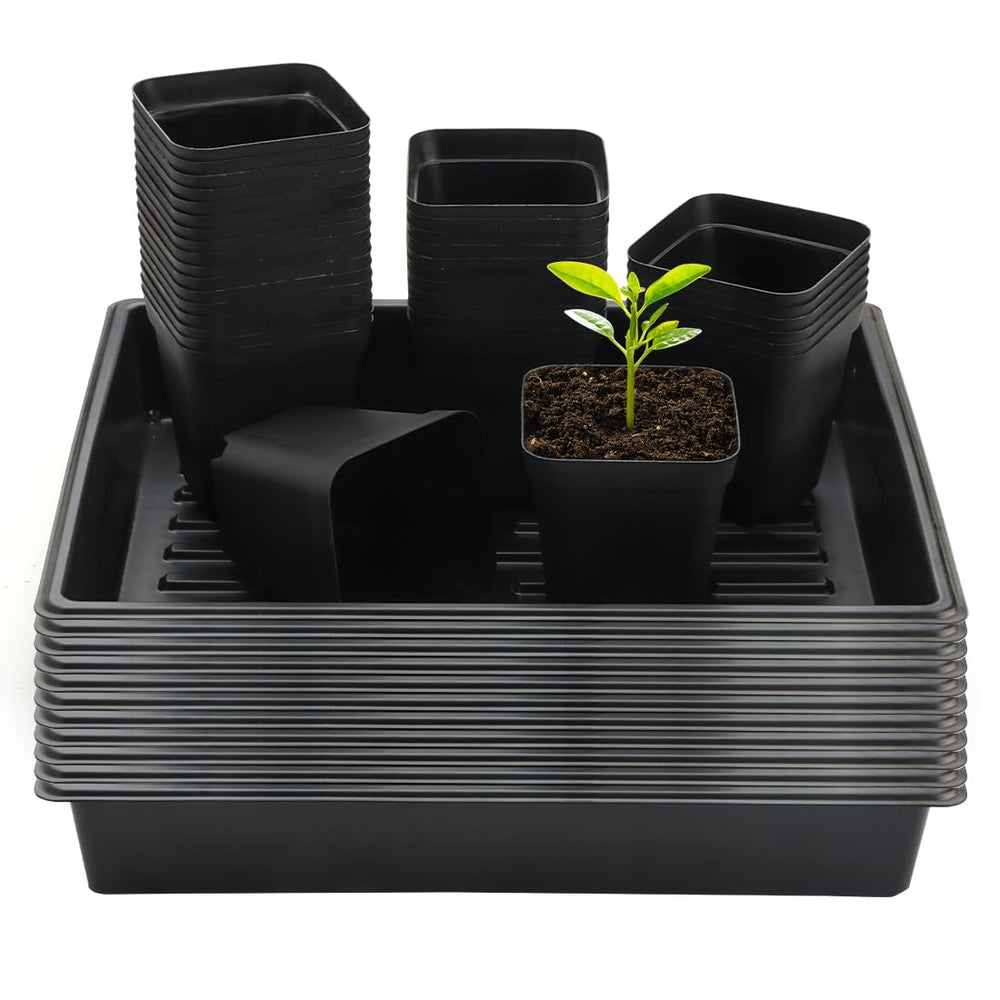 RooTrimmer front view showing full tray and pots, easy organized propagation