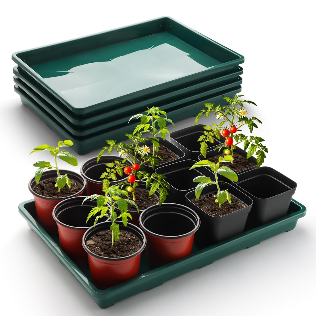 RooTrimmer front view of five green seed starter trays, durable and reusable
