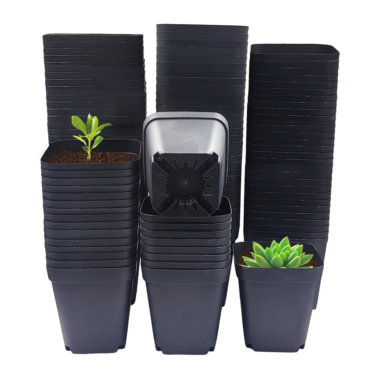RooTrimmer front view of 120-pack showing neat organized pots and space savings