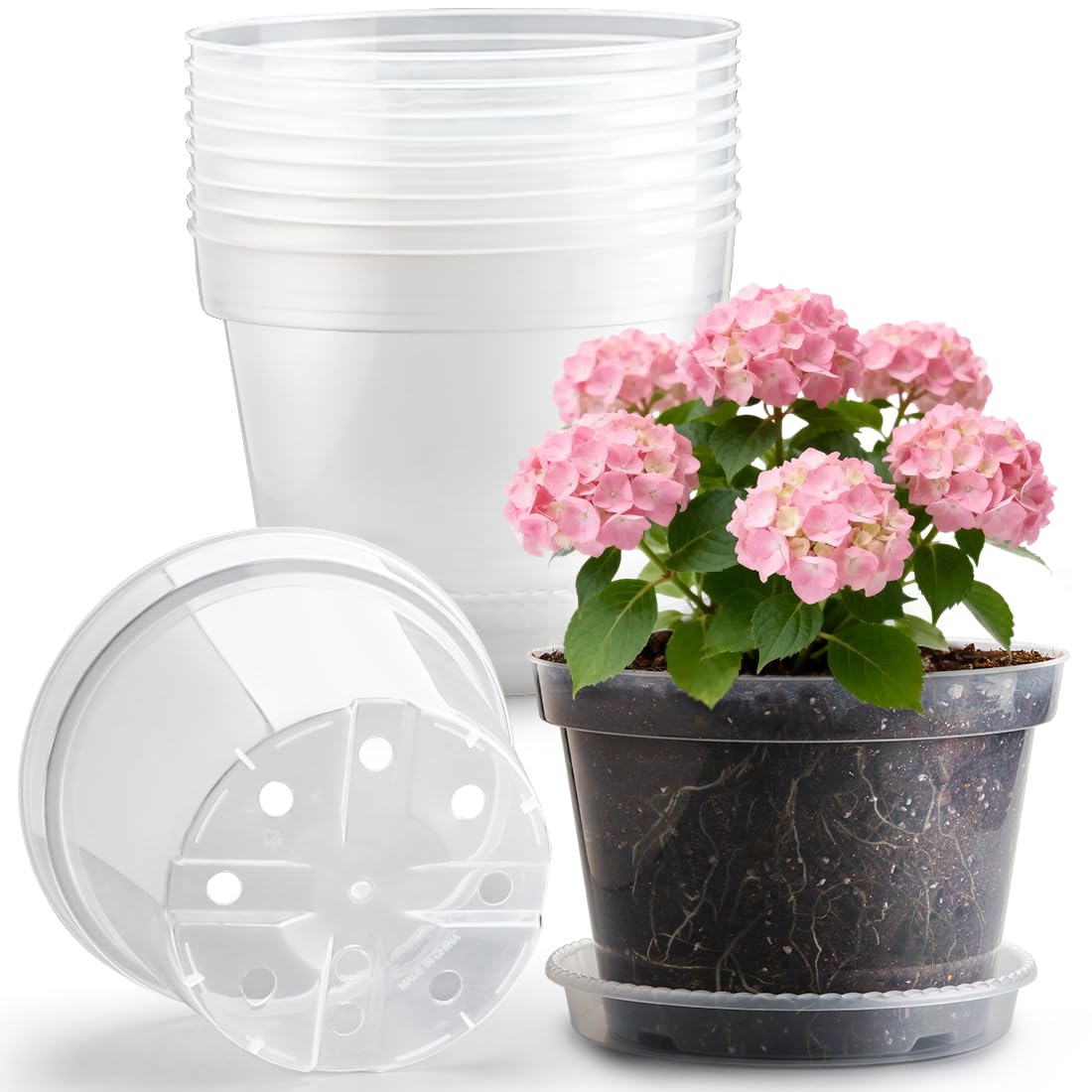 RooTrimmer front view 10-inch clear pot with saucer showing neat presentation benefit