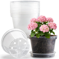 RooTrimmer front view 10-inch clear pot with saucer showing neat presentation benefit