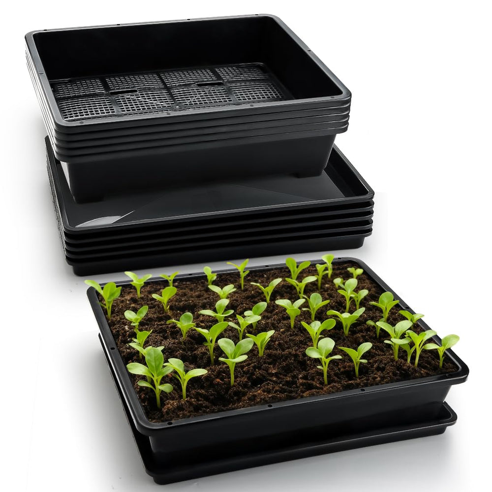 RooTrimmer front view of five-pack tray set shows organized seed starting
