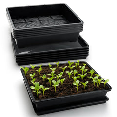 RooTrimmer front view of five-pack tray set shows organized seed starting
