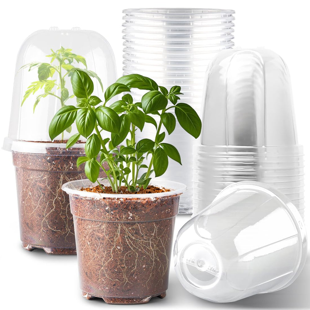 RooTrimmer front view of 6-inch pot with dome showing secure fit and visibility benefit