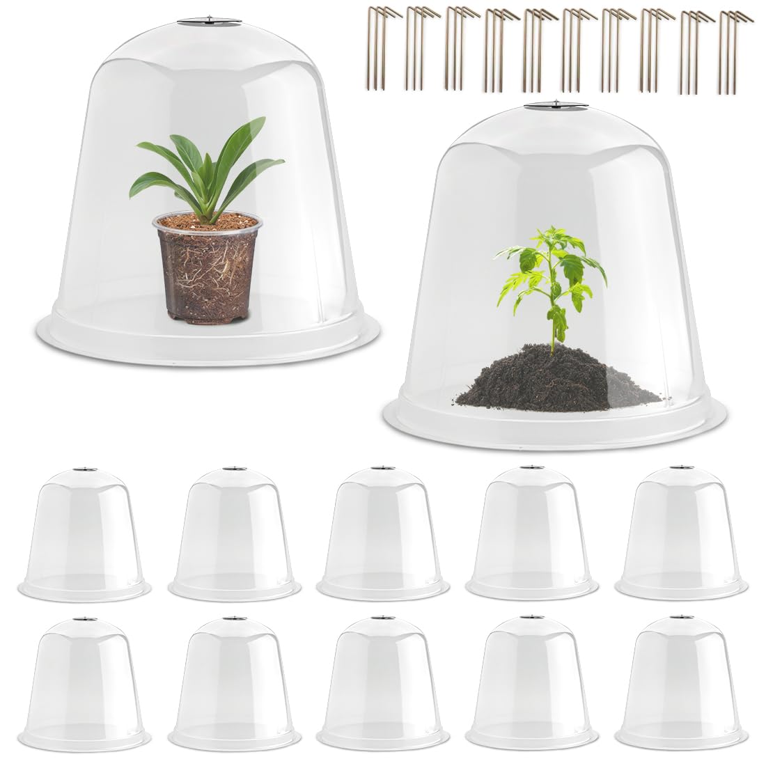 RooTrimmer front view clear cloche showing full coverage and visibility benefit