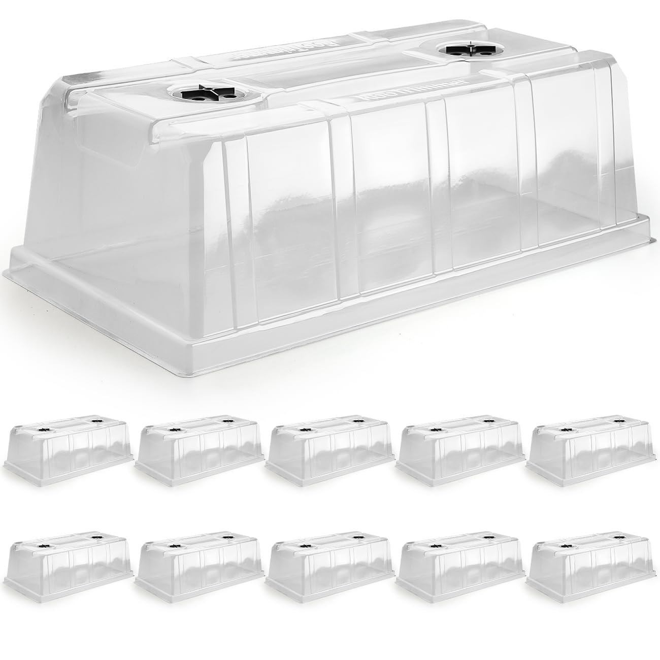 RooTrimmer clear dome on 10x20 tray showing secure fit and humidity retention
