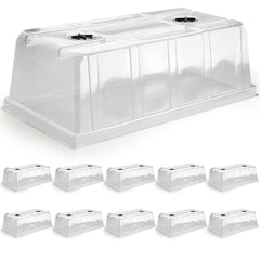 RooTrimmer clear dome on 10x20 tray showing secure fit and humidity retention