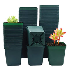 RooTrimmer front view 4-inch green pot showing shape and uniformity for organized propagation