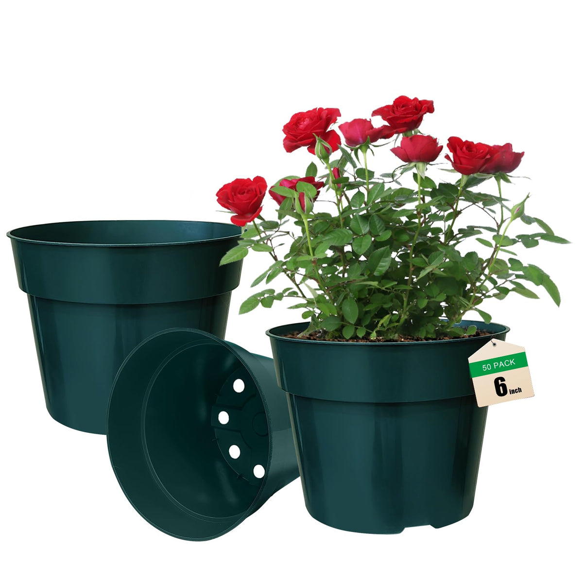RooTrimmer front view of green 6-inch pot showing plant-ready design and durability