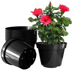 RooTrimmer front view of 10-pack showing uniform pots and space-saving benefit