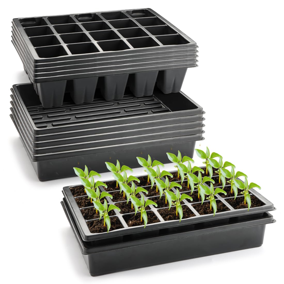 RooTrimmer front view showing plug and flat trays and organized seed starting