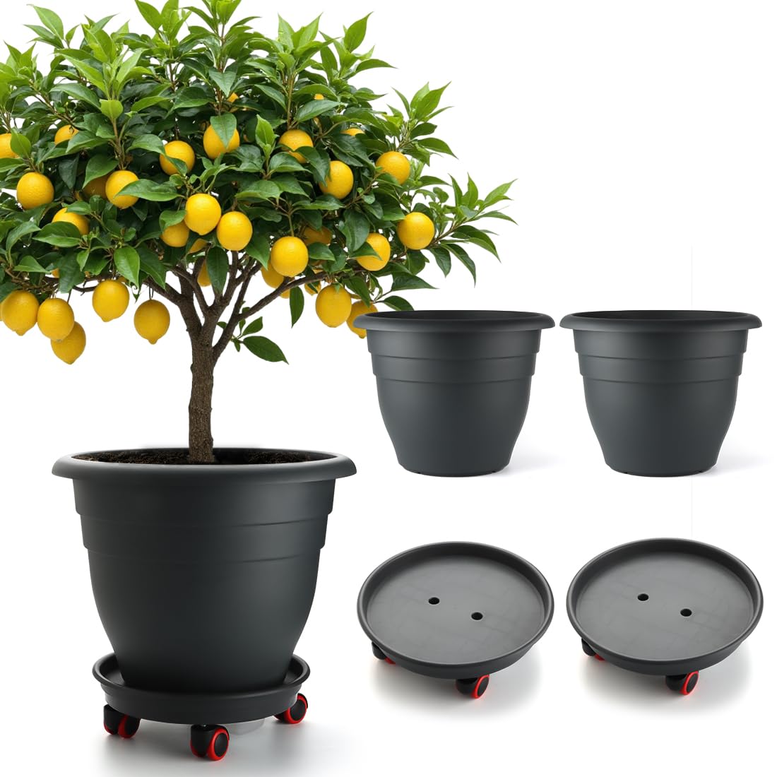 RooTrimmer front view of three-pack showing modern black pots and easy styling benefit
