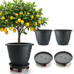RooTrimmer front view of three-pack showing modern black pots and easy styling benefit