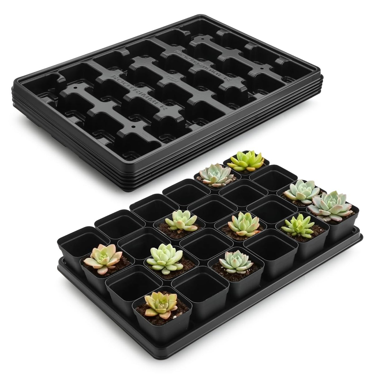 RooTrimmer front view showing tray and 24 square pots, organized for seedlings