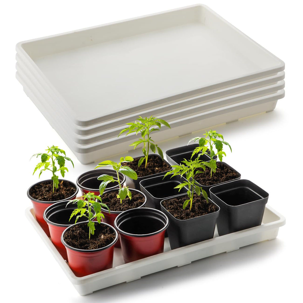 RooTrimmer front view stacked trays showing stable base and organized transport benefit
