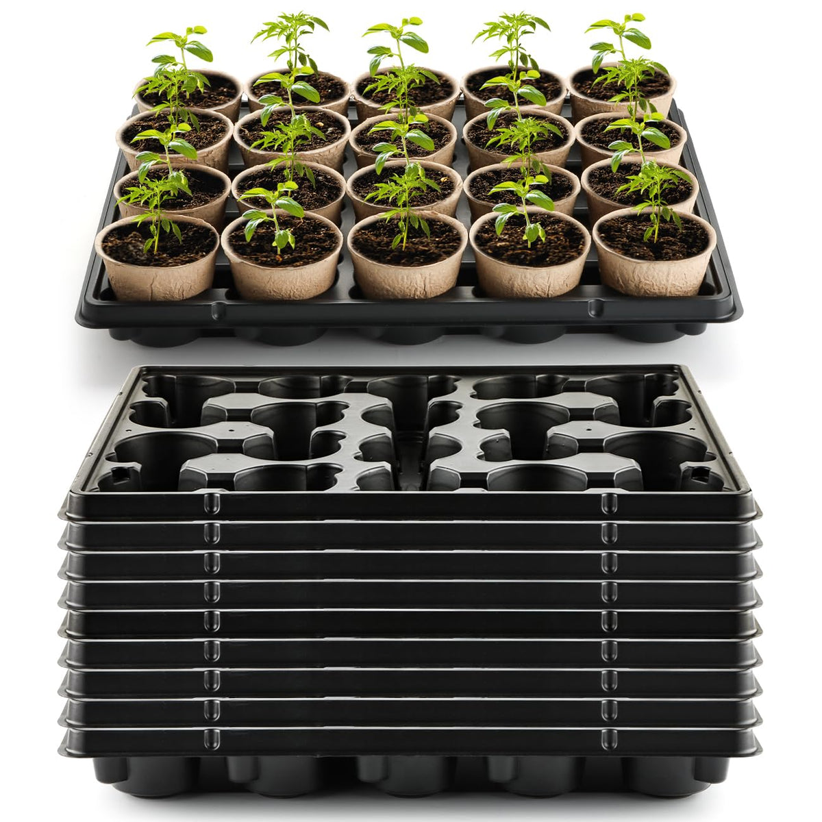 RooTrimmer front view tray showing 20 cells and sturdy rim, streamlines pot transport