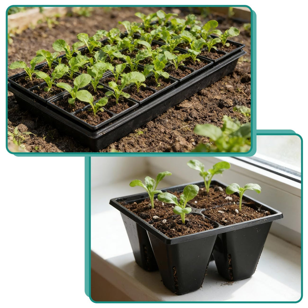 RooTrimmer trays arranged on garden bench in a lifestyle scene for hobby growers