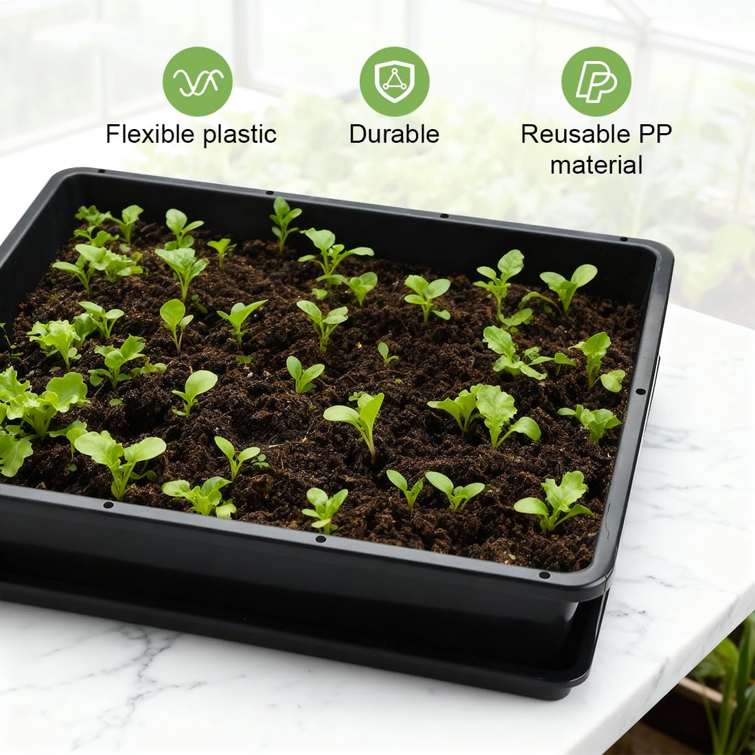 RooTrimmer trays on greenhouse bench organizing seedlings and drains