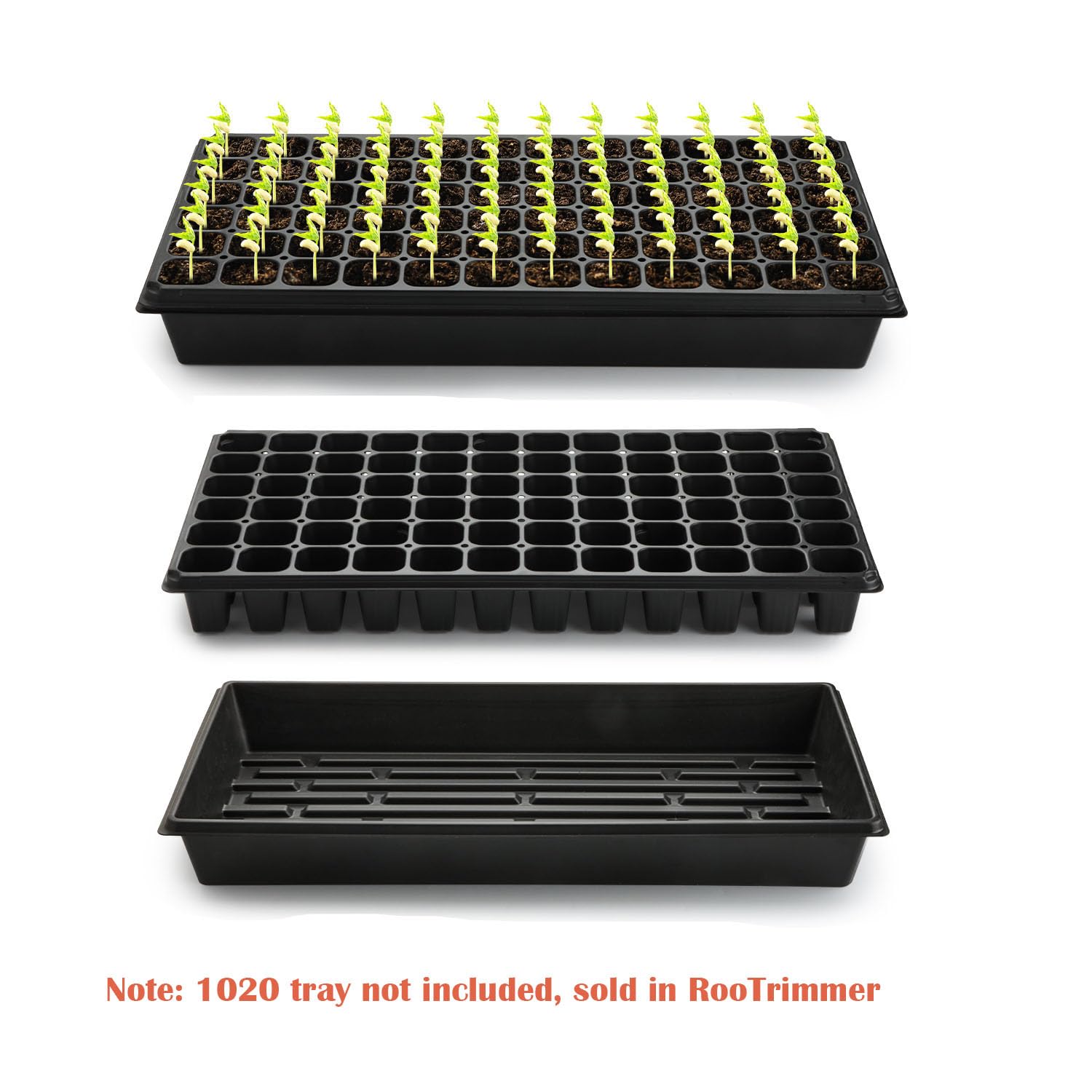 RooTrimmer tray in a greenhouse setting showing scalable propagation workflow