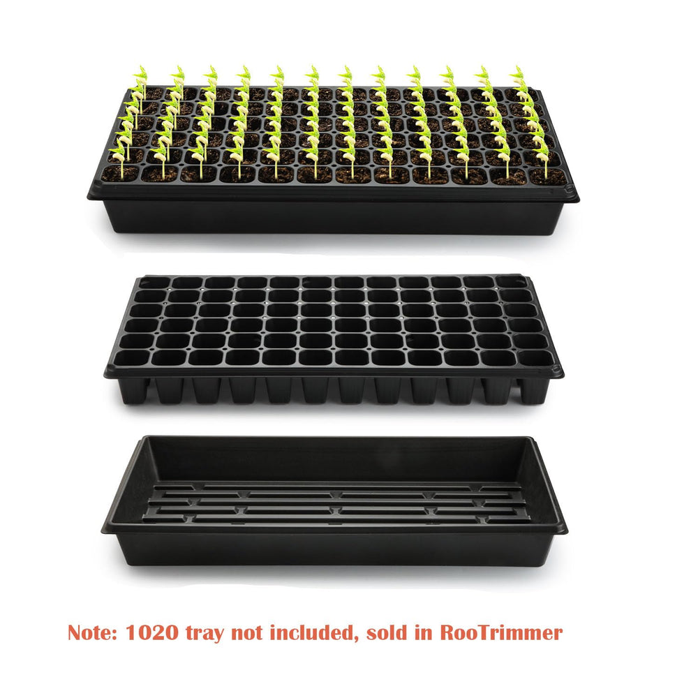 RooTrimmer tray in a greenhouse setting showing scalable propagation workflow