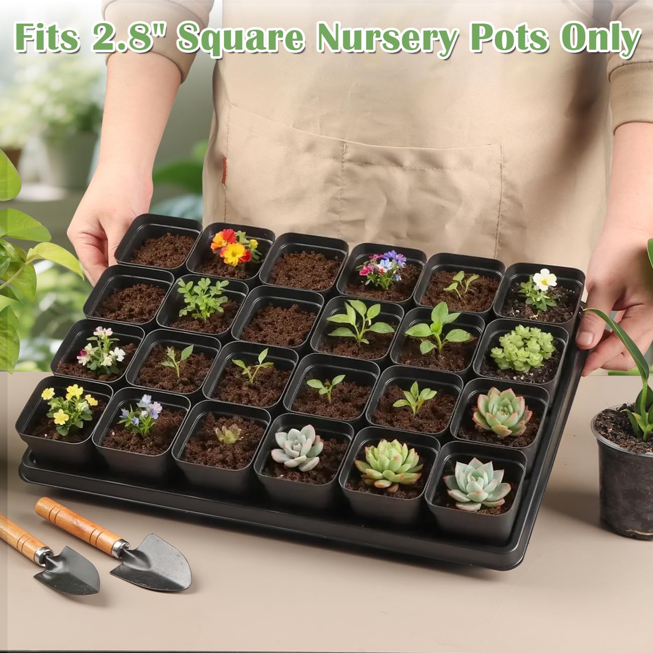 RooTrimmer hands carrying a loaded tray to show easy transport and practicality