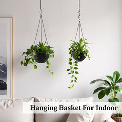 RooTrimmer hanging in porch displaying plants and saving floor space