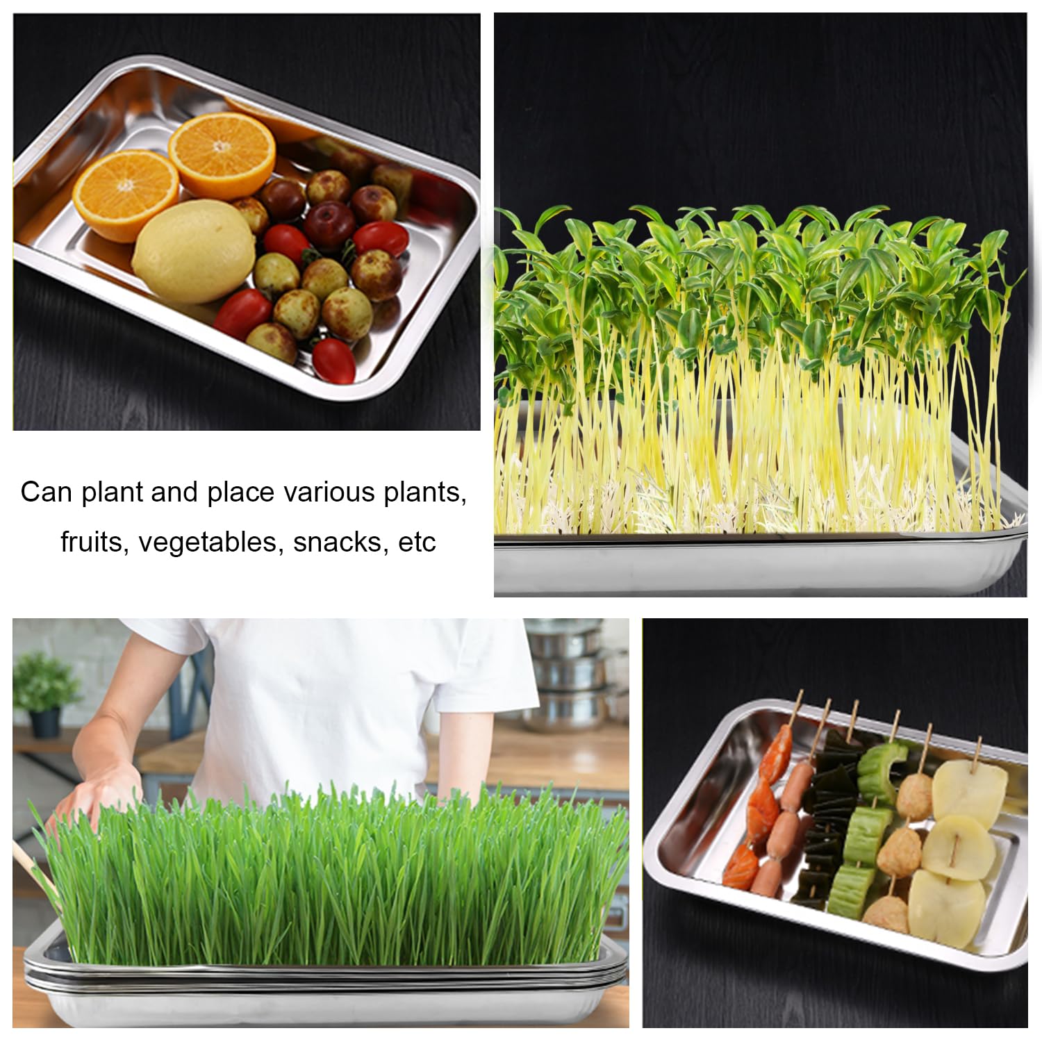 RooTrimmer used in hydroponic microgreens setup showing versatility and easy cleanup