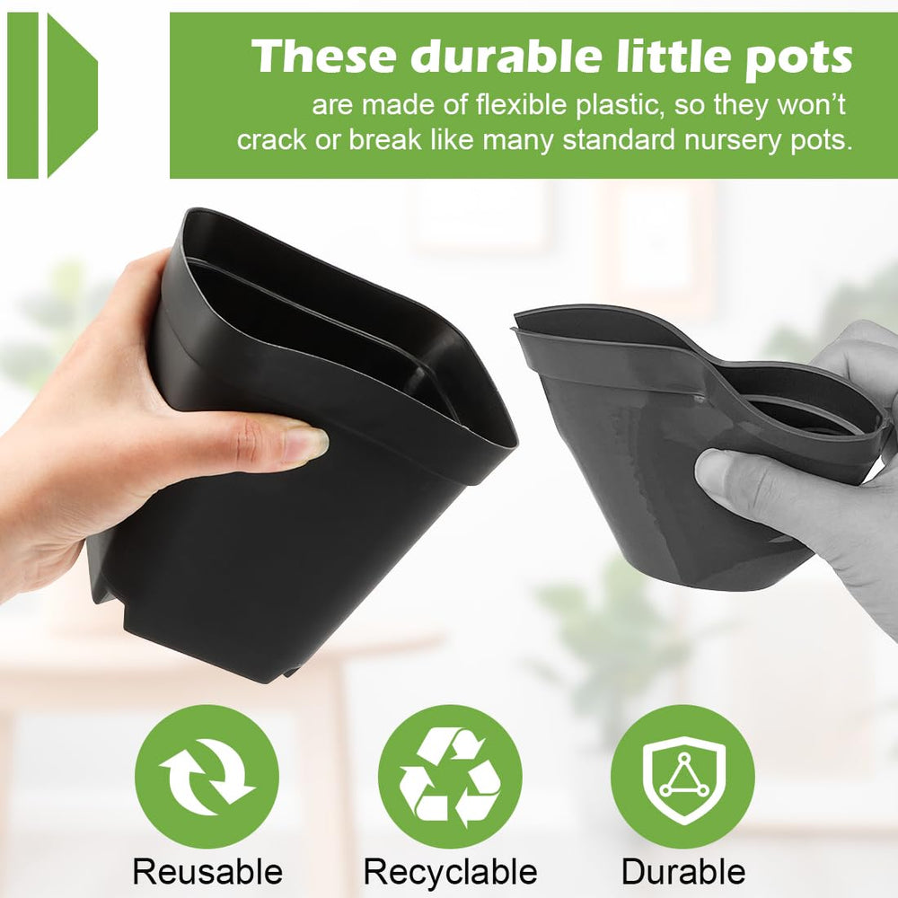 RooTrimmer pots placed in tray with seedlings enabling efficient propagation
