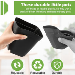 RooTrimmer pots placed in tray with seedlings enabling efficient propagation