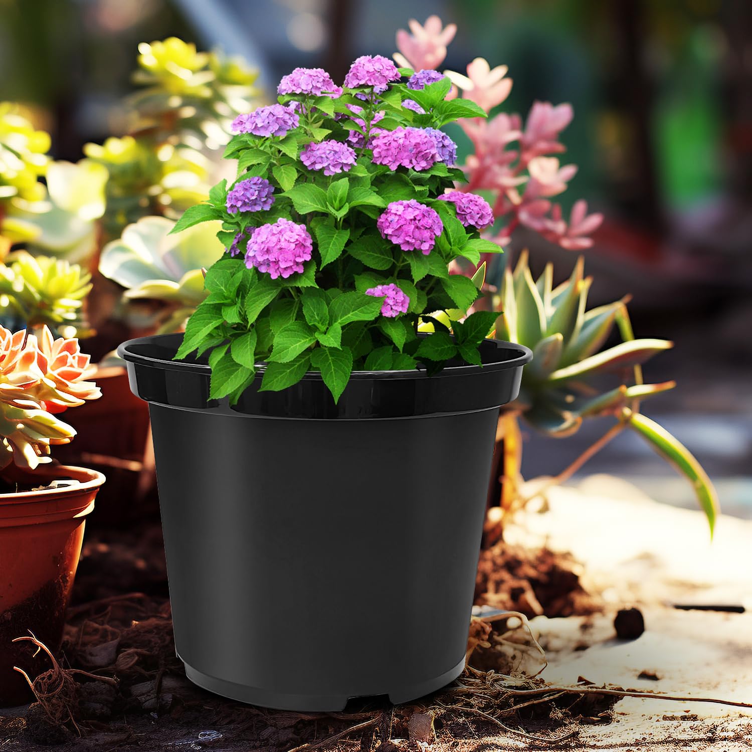 RooTrimmer pots arranged on a balcony showing versatile outdoor styling benefit