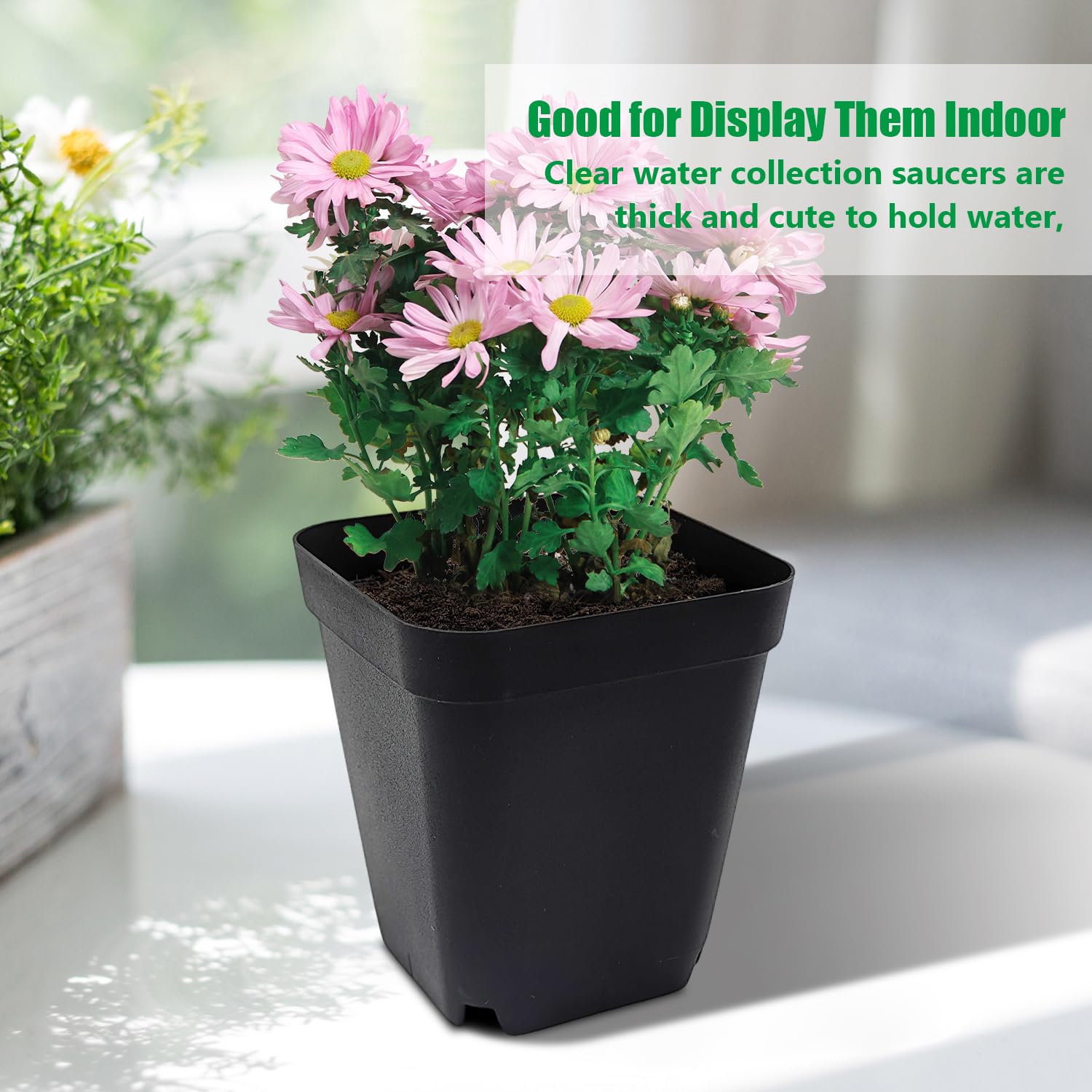 RooTrimmer pots on balcony with herbs illustrating discreet aesthetic fit