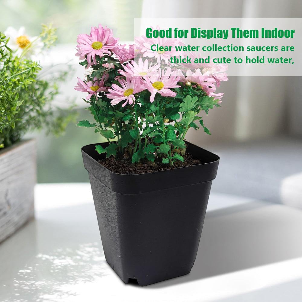 RooTrimmer pots on balcony with herbs illustrating discreet aesthetic fit
