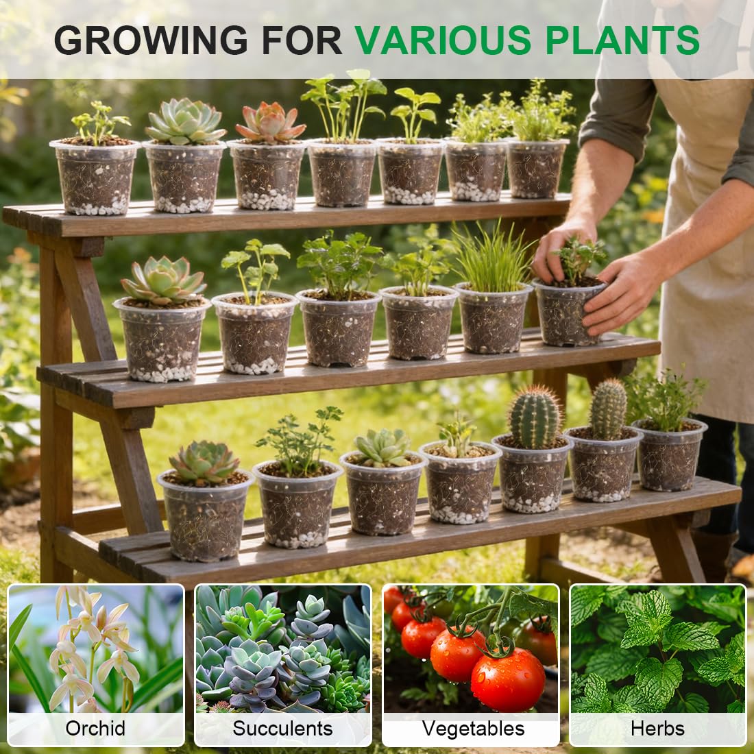 RooTrimmer pots on greenhouse bench showing organized propagation benefits