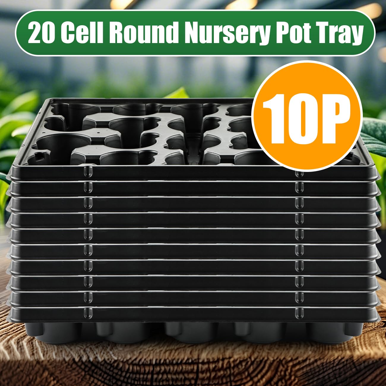 RooTrimmer trays arranged on greenhouse bench, speeds propagation workflow