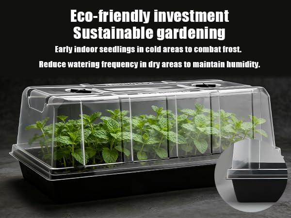 RooTrimmer multiple domes in greenhouse displaying efficient tray coverage