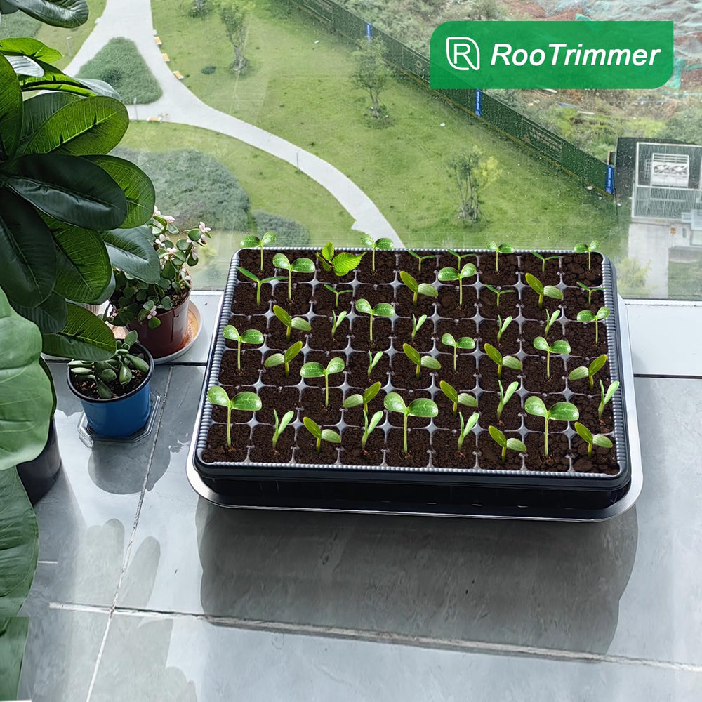 RooTrimmer trays in greenhouse lifestyle shot showing efficient batch growing