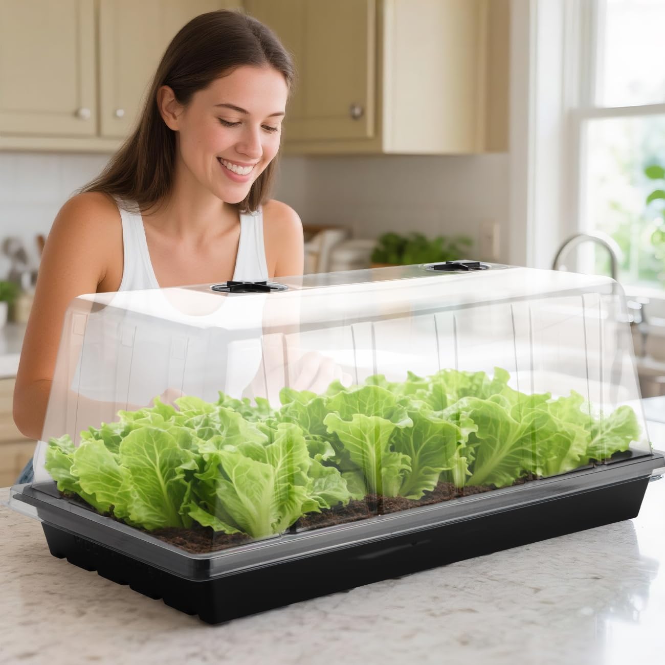 RooTrimmer lifestyle greenhouse setup illustrating neat, space-saving propagation