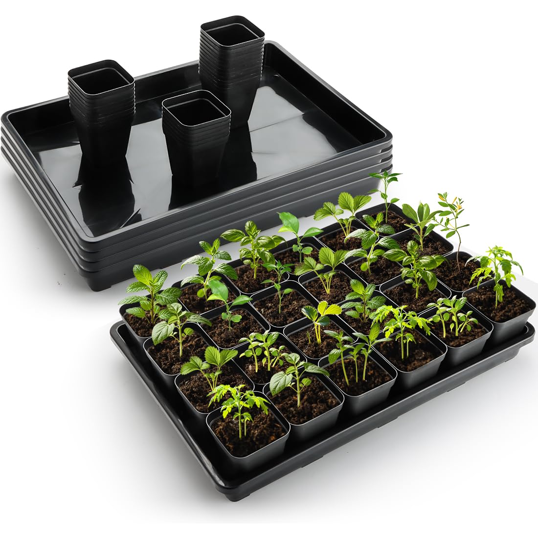 RooTrimmer setup on greenhouse shelf, ideal for small nursery organization