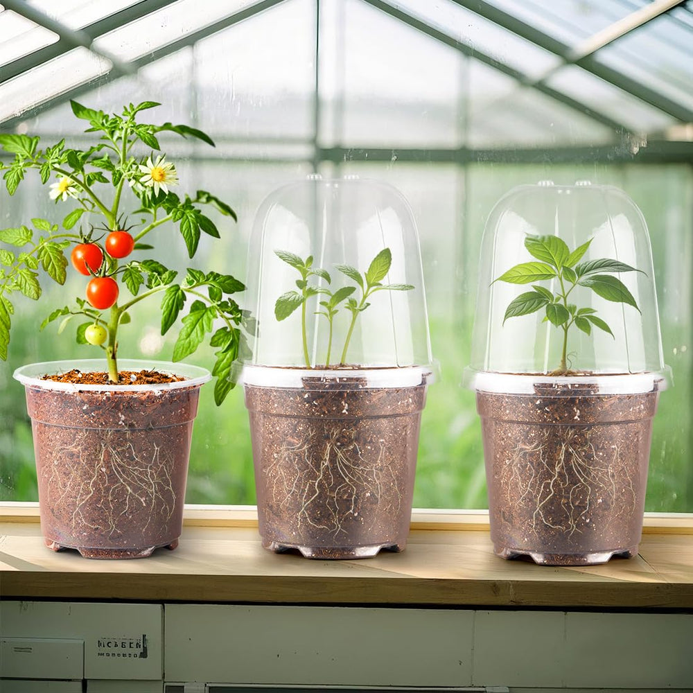 RooTrimmer pots on greenhouse shelf demonstrating organized propagation and reuse