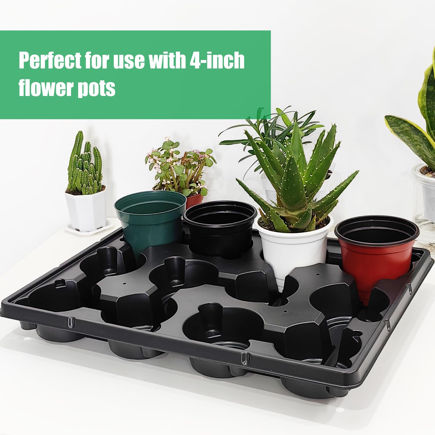 RooTrimmer staged in greenhouse demonstrating time-saving transport benefit